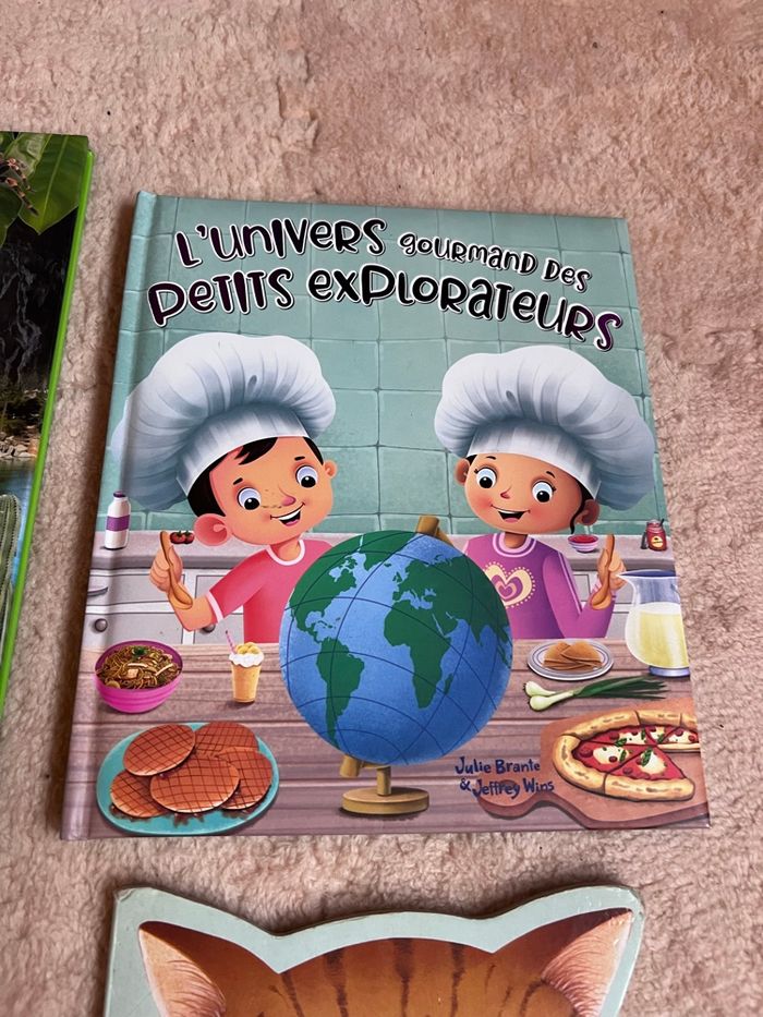 Lots de livre enfant - photo numéro 6