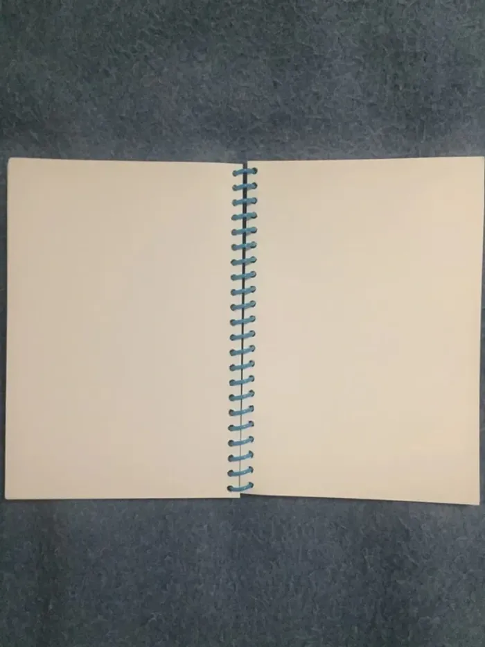 Carnet Ratatouille - photo numéro 3