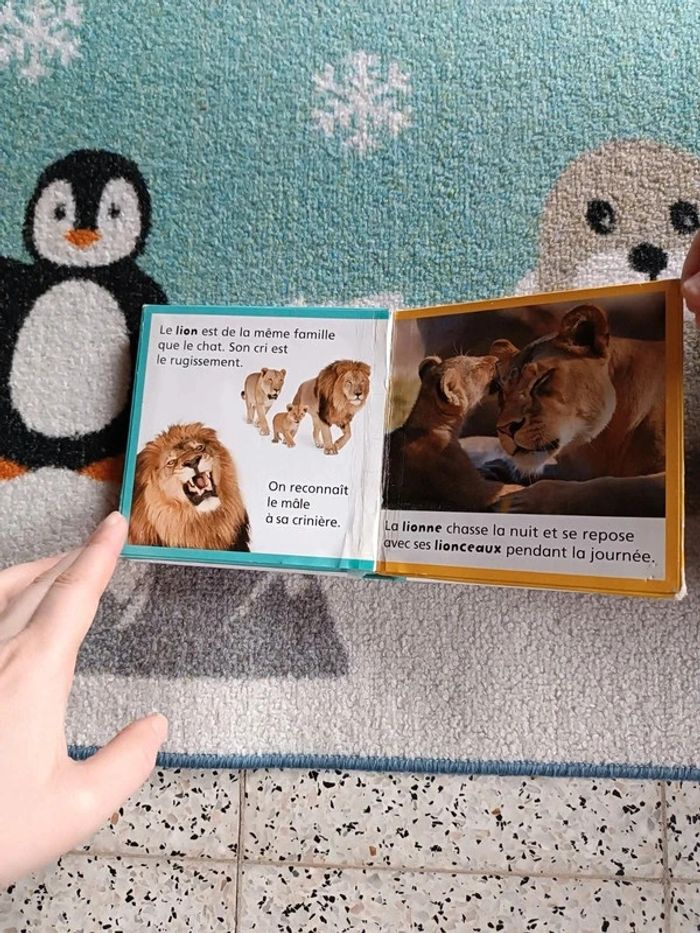 Livre les animaux sauvages - photo numéro 6