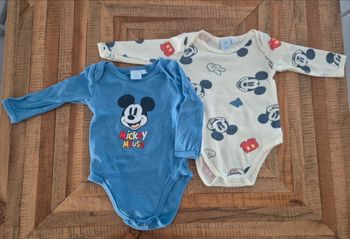 Lot 2 bodies Mickey