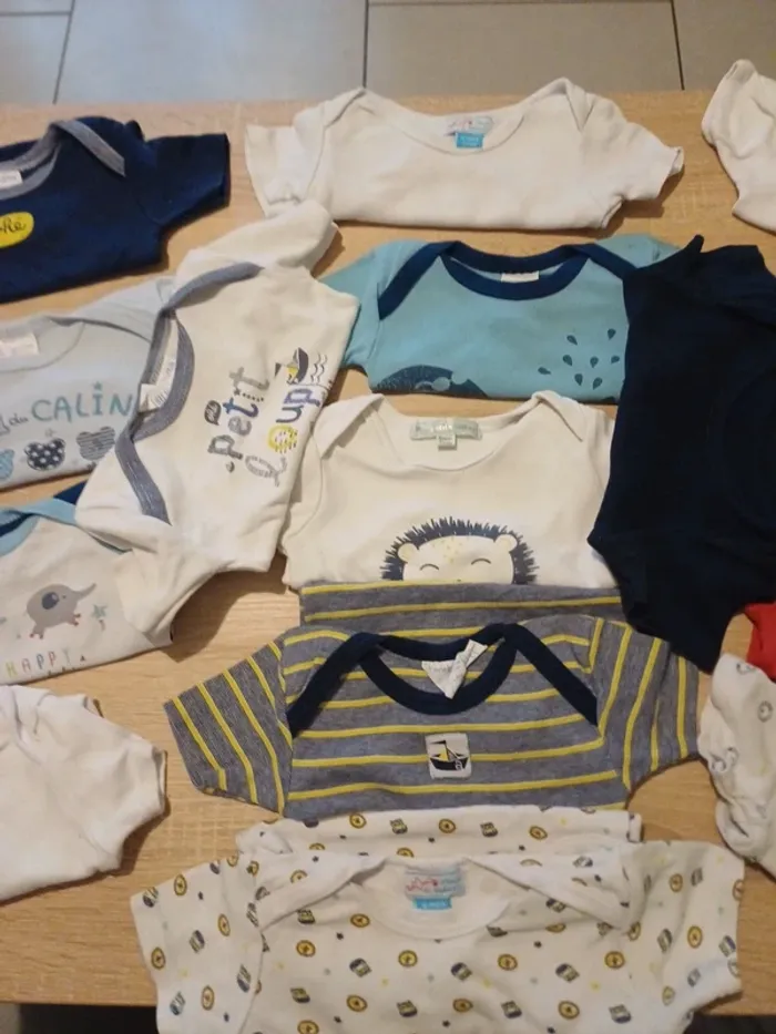 Lot de 15 bodies manche courtes - photo numéro 3