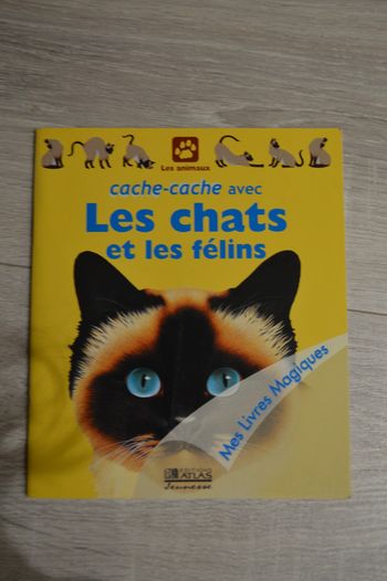 Livre  cache cache avec les chats et les félins Edition Atlas jeunesse