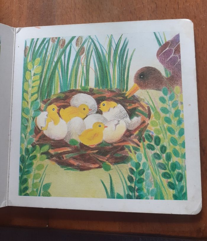 Livre enfant "Le canard sauvage" - photo numéro 2