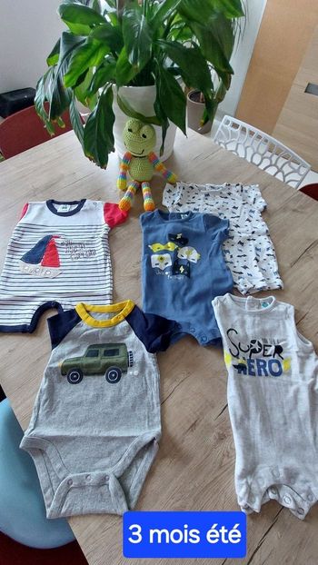 Lot 5 bodies manches courtes