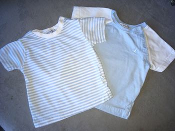 Lot de 2 tee-shirts mc 6 mois Tex tons bleu et blanc