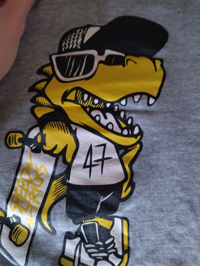 Sweat dinosaures - photo numéro 3