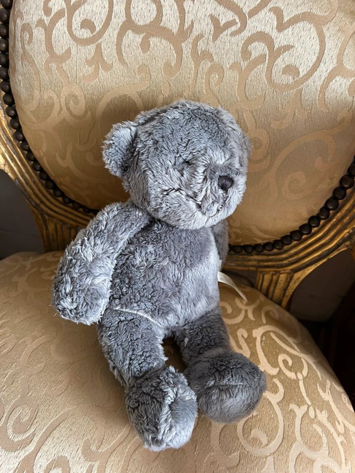 Petit ourson gris - photo numéro 10