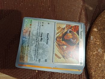 Cartes Pokémon