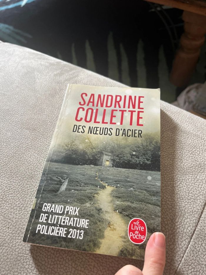 Des noeuds d’acier Sandrine Collette