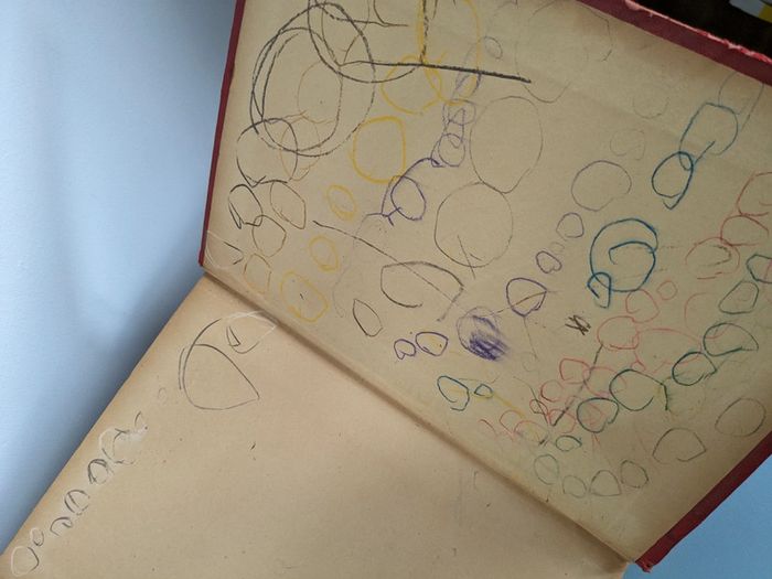 Livra ancien les révolutions du globe - photo numéro 11