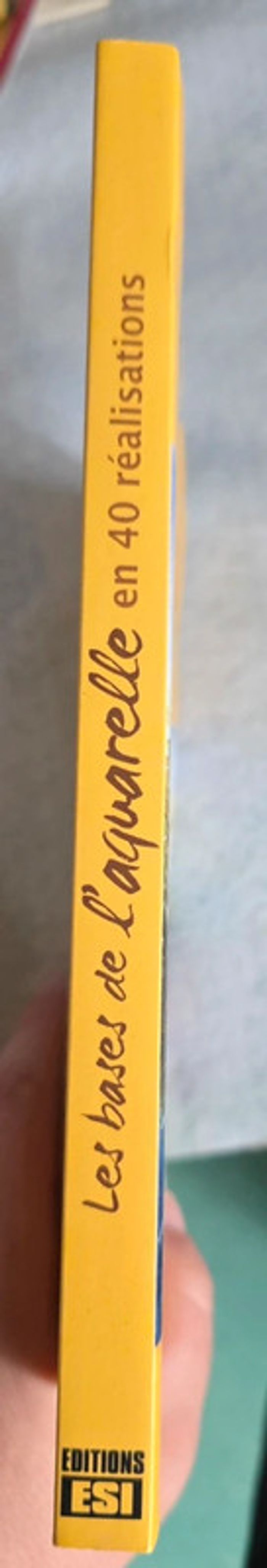 Les bases de l'aquarelle en 40 réalisations - photo numéro 3