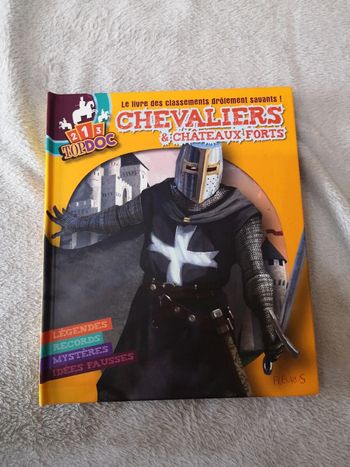 Livre chevaliers et châteaux forts