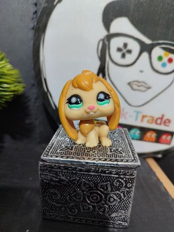 Lps917 My Littlest Petshop Pet Shop LPS  Bunny Rabbit Lop Ears Lapin Bélier 864