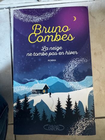 La neige ne tombe pas en hiver