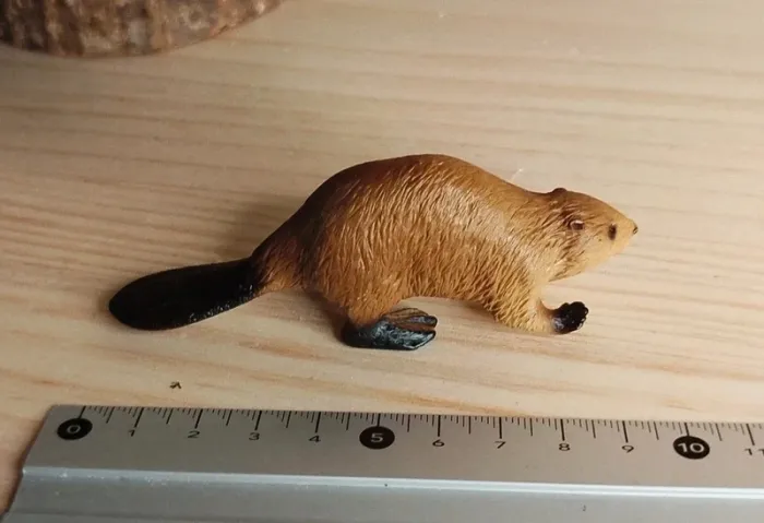 Schleich Castor figurine Animal de la Mer - photo numéro 5