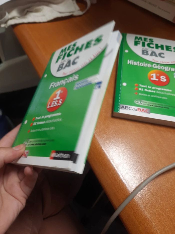 Fiche bac français - photo numéro 4