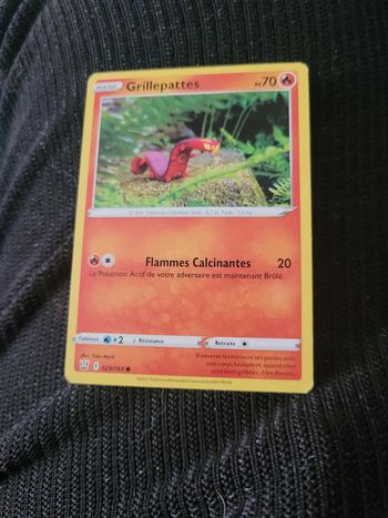 Pokémon grillepattes