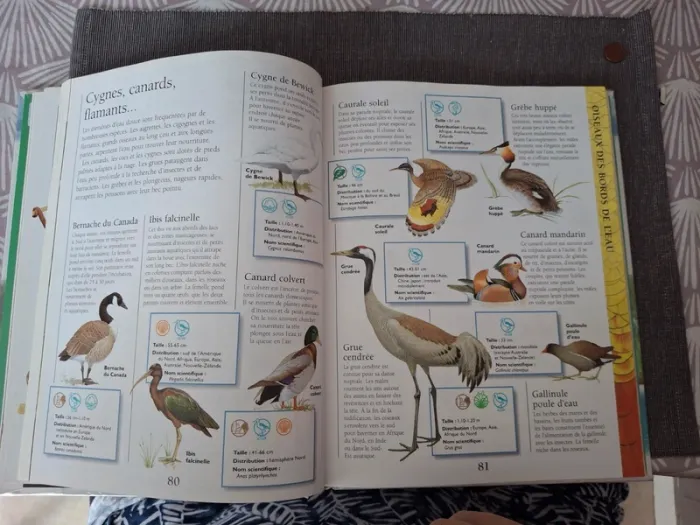 Livre Larousse junior des animaux - photo numéro 5