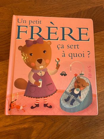 Livre Un petit frère ça sert à quoi ?