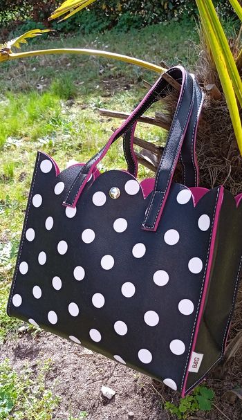 Sac à pois petit 