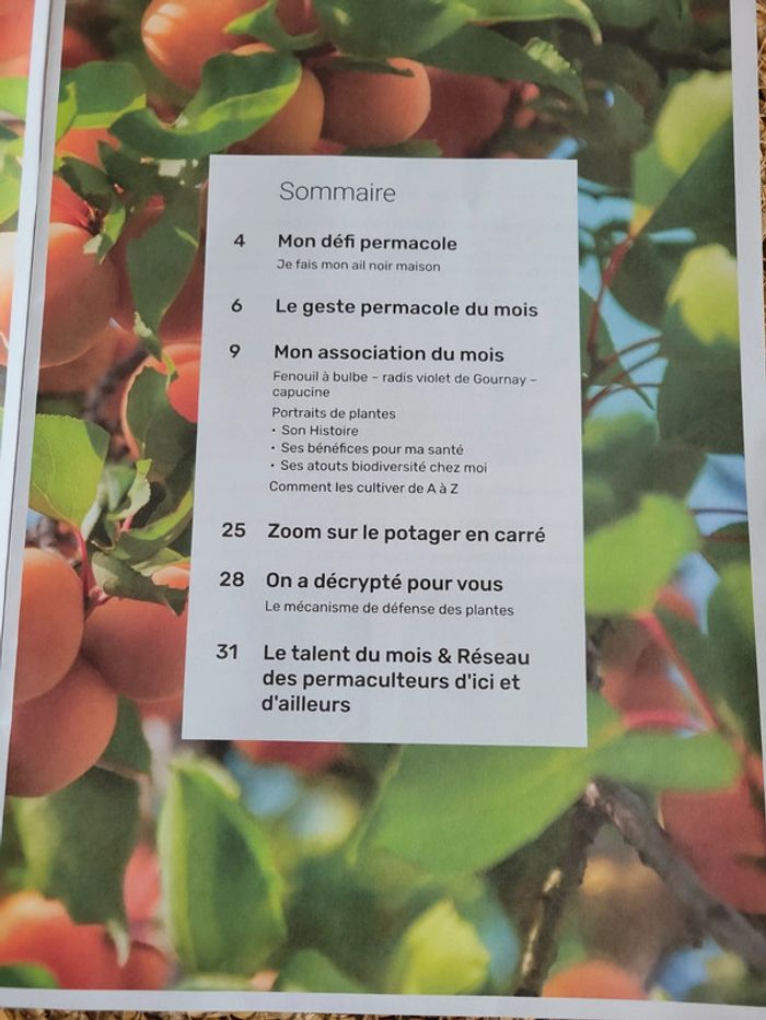 Revue Saine Abondancence n*45 - photo numéro 3