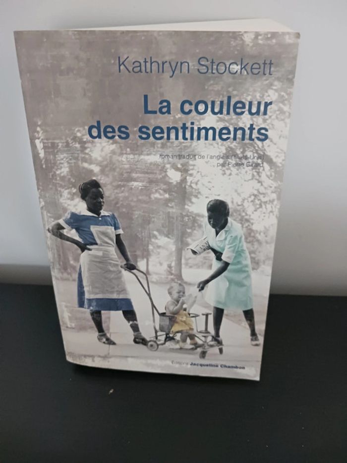 Roman La couleur des sentiments