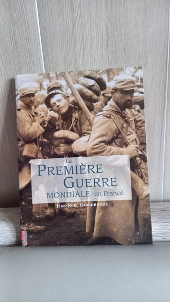 La Première Guerre mondiale en France