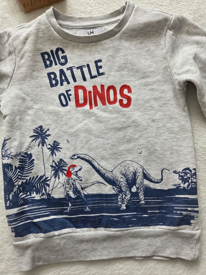 Pull dinosaure - photo numéro 2