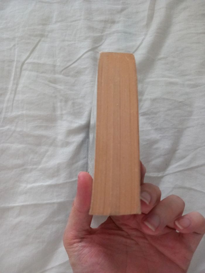 Le fléau 3 - photo numéro 6