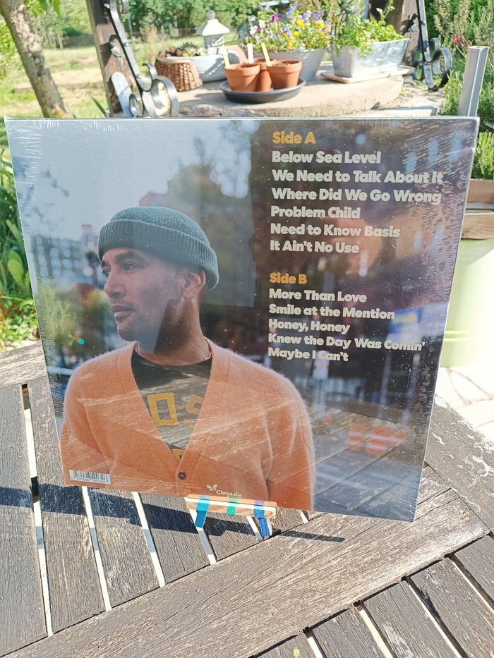 Vinyle Bloodline Maintenance by Ben Harper 🪮 - photo numéro 2