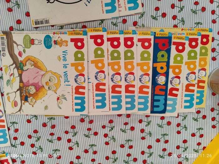 Lot papoum 40 livres dont une année complète - photo numéro 4