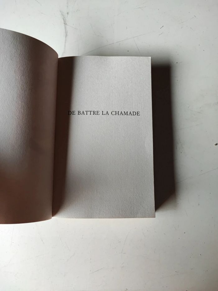Livre de battre la chamade - photo numéro 2