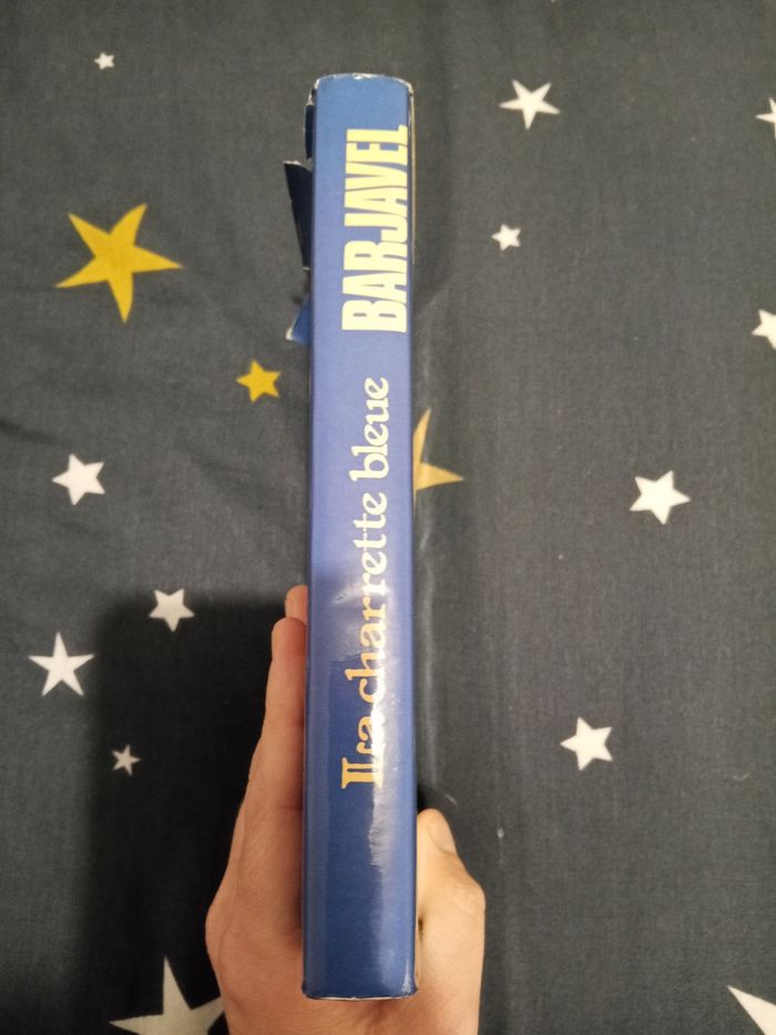 Livre (126) 📚 La charette bleue - photo numéro 5