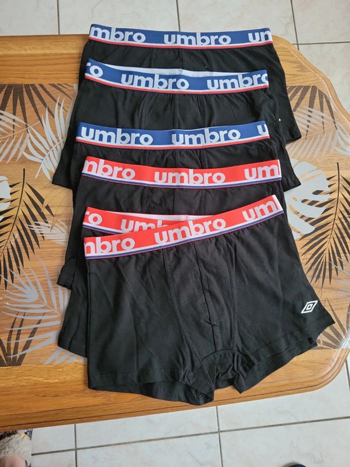 Lot boxers