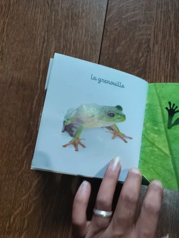 Livre mon Mini imagier des animaux - photo numéro 15