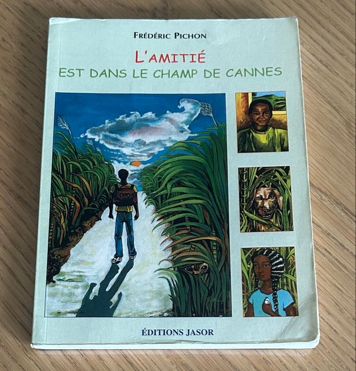 Livre L’amitié est dans le champ de cannes - photo numéro 1