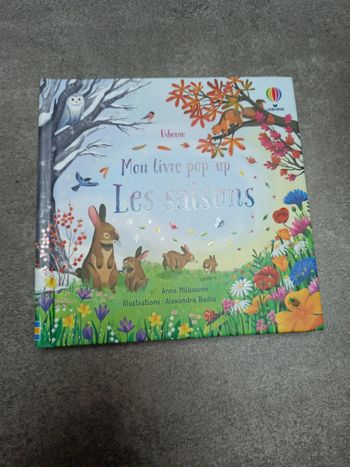 Mon livre pop up les saisons usborne