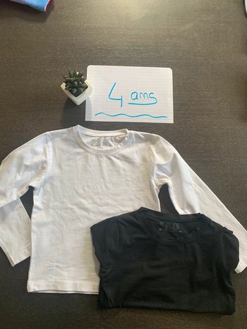 Lot de 2 tee-shirts manches longues taille 4 ans