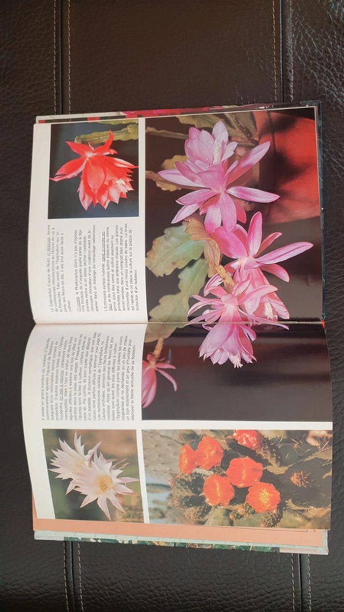 Livre " les plantes d'intérieur " collection Plaisir de voir - photo numéro 9