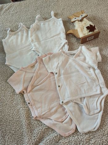 Lot de 4 bodies 12 mois