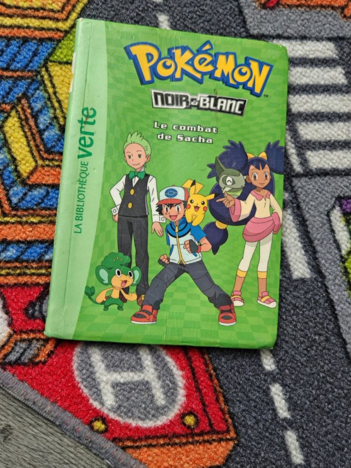 Livre pokemon le combat de sasha