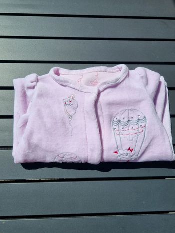 Pyjama rose sergent major