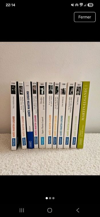 Lot 11 livres Agnès Martin lugan