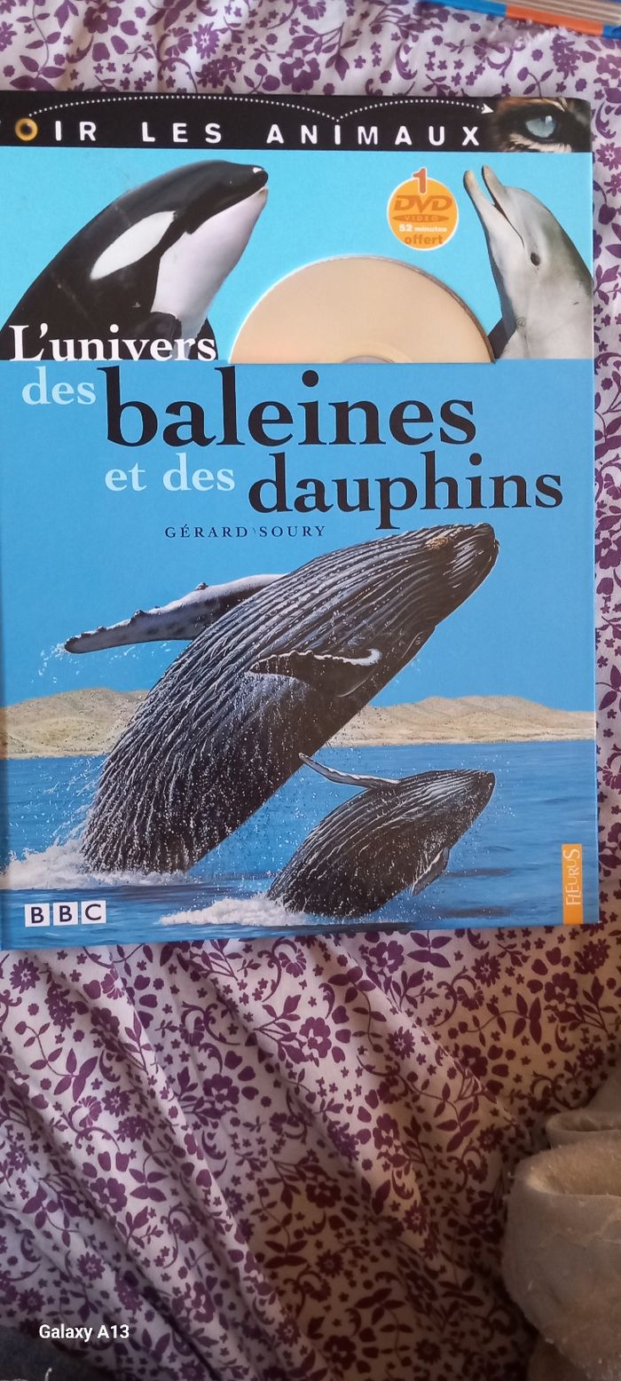 Livre video