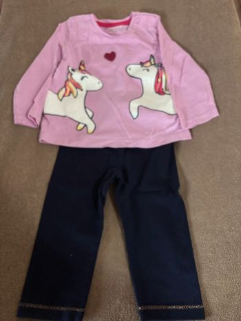 Ensemble licorne