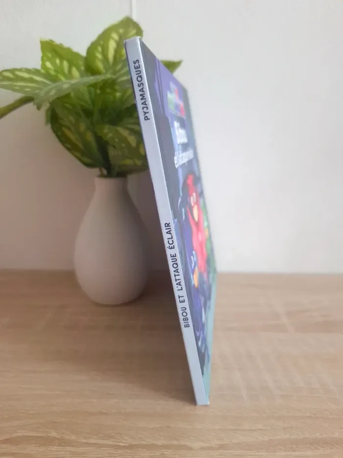 Livre enfant / Bijoux et l'attaque éclair - photo numéro 3