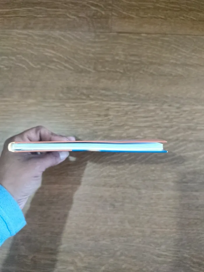 Livre megascope - photo numéro 3