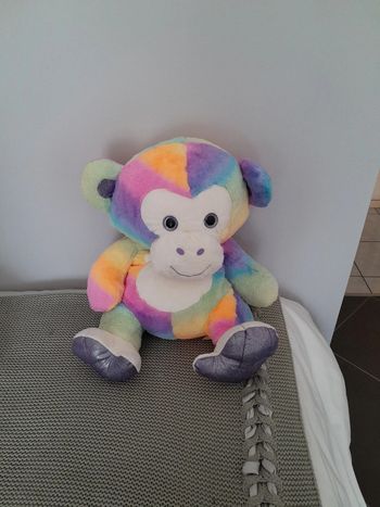 Peluche multicolore