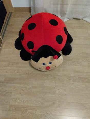 coccinelle géante 76/56cm