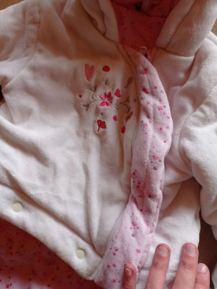 Grenouillère extérieure orchestra - photo numéro 4